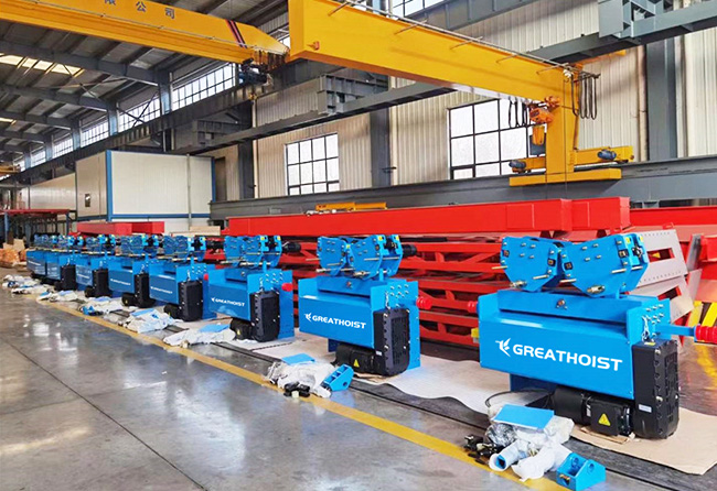 OHFM Model European Design Hoist